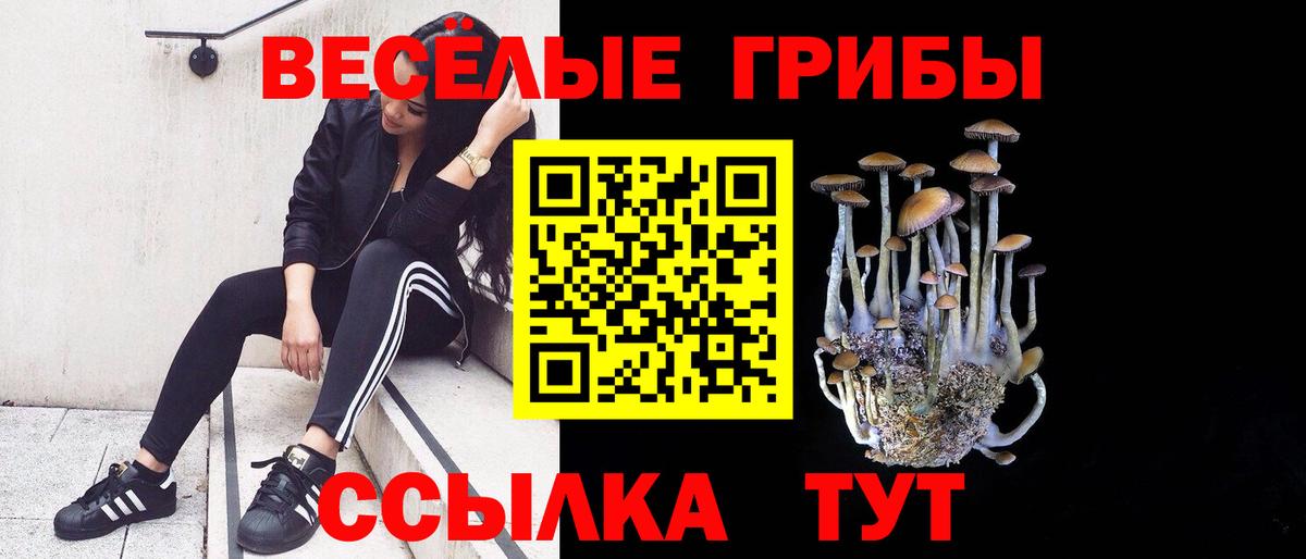 Галлюциногенные грибы Psilocybe  Вход с VPN  Трёхгорный 